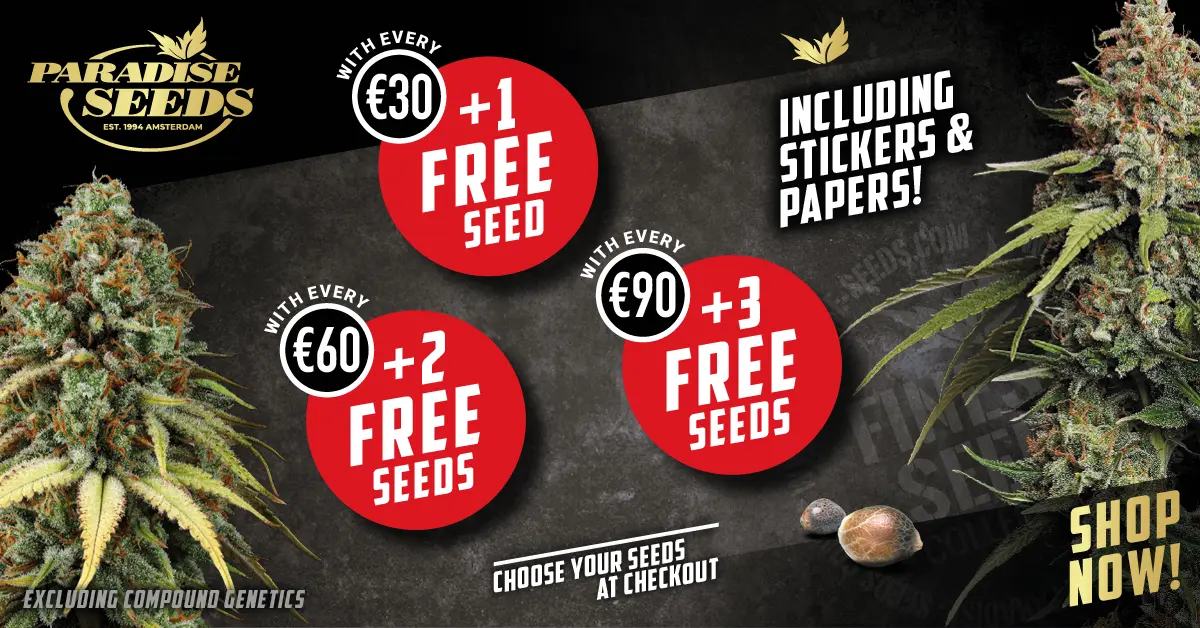 Free Cannabis Seeds