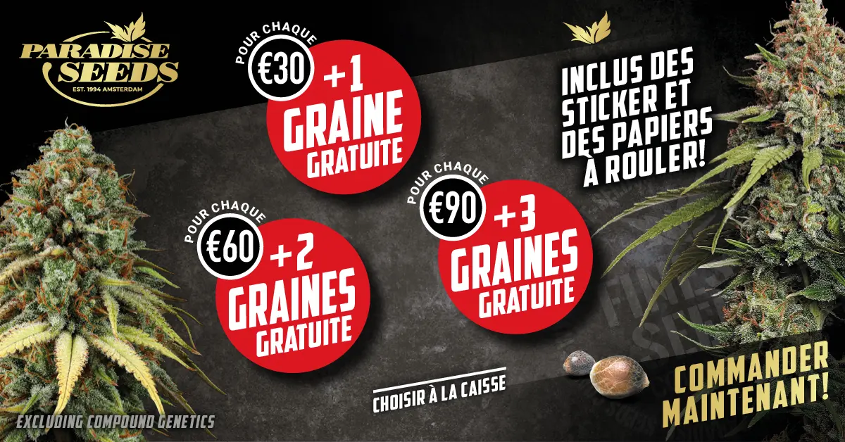 Graines Gratuite