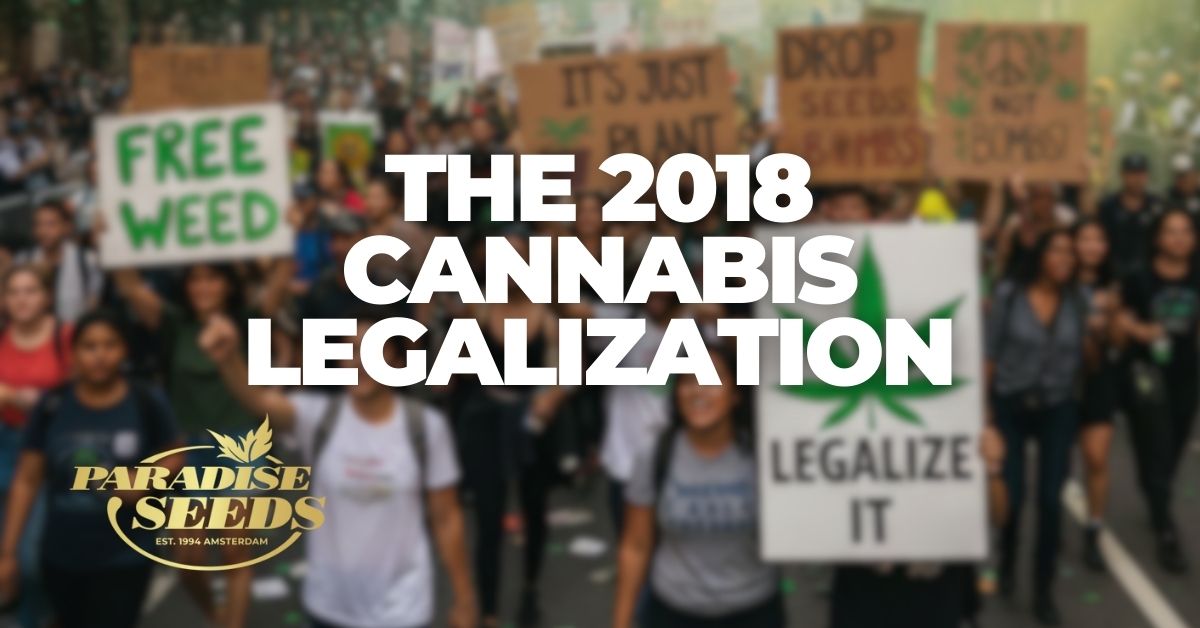 2018 cannabis legalization weed rush article cover