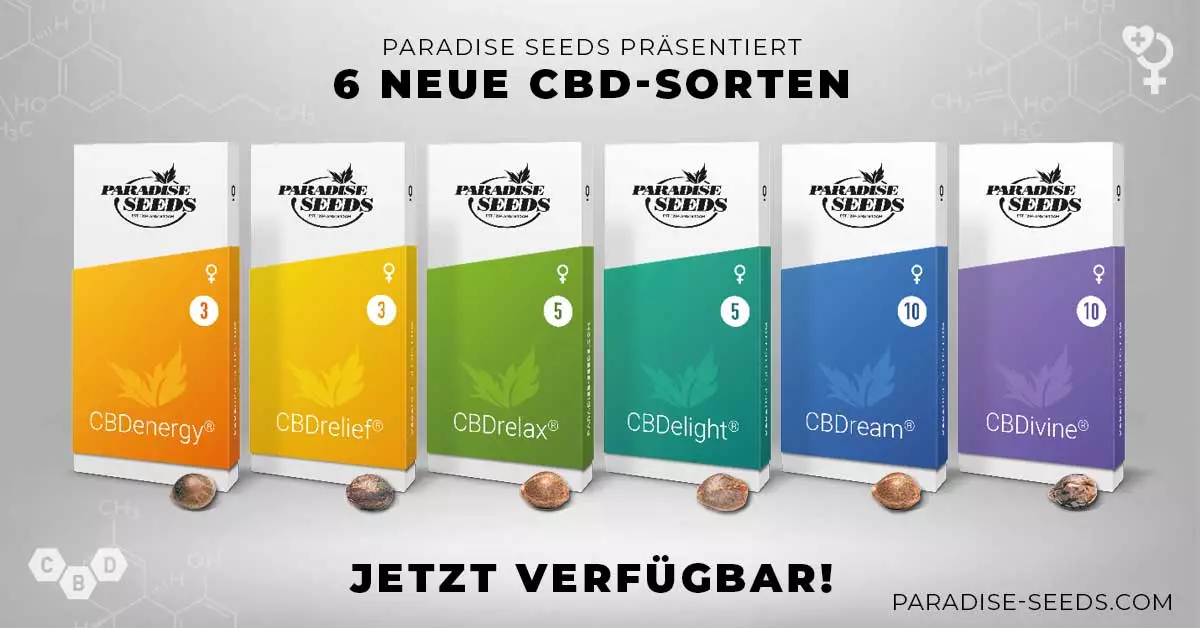 6 New CBD Varieties