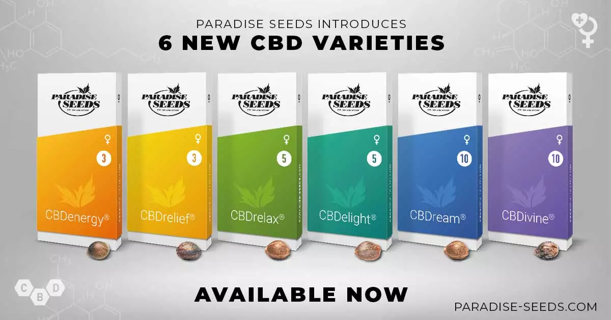 6 New CBD Varieties