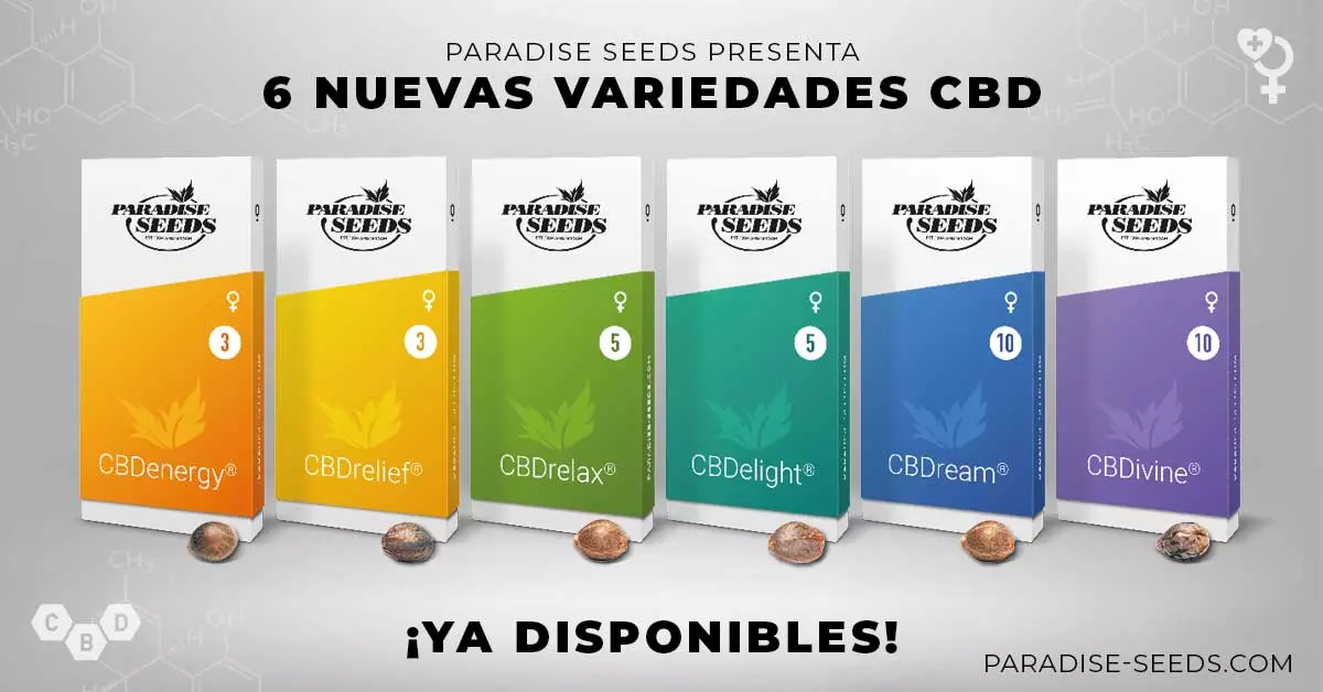 6 New CBD Varieties