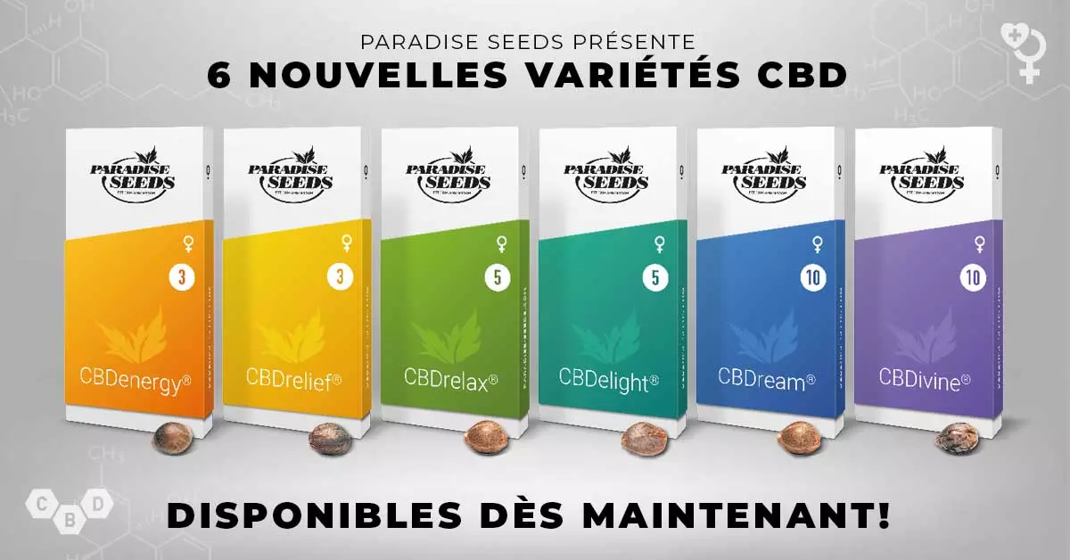 6 CBD Varieties 1200x628 FR | 🥇 Paradise Seeds | Meilleure qualité, génétique originale