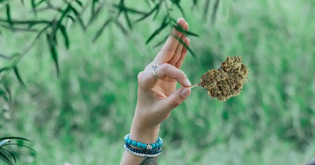 What Cannabis Strains Are Good for Women