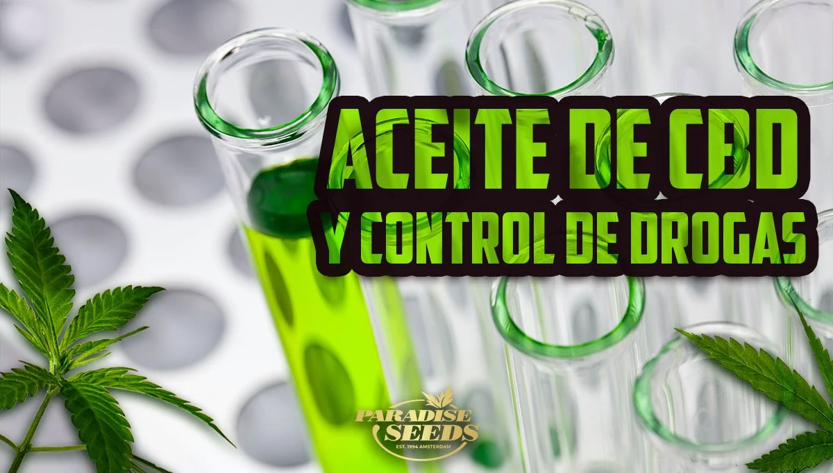 Aparece el CBD en un test de drogas?