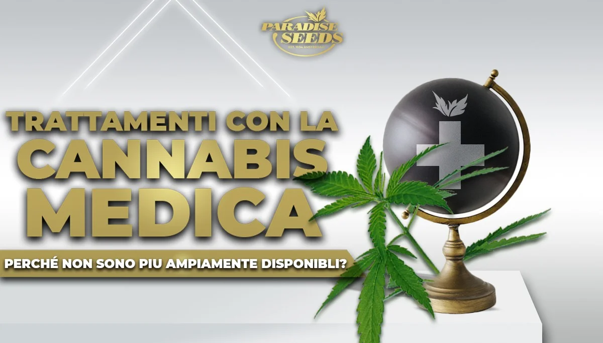 Perchè il trattamento con la Cannabis Medica non è più ampiamente disponibile? | Paradise Seeds Webshop