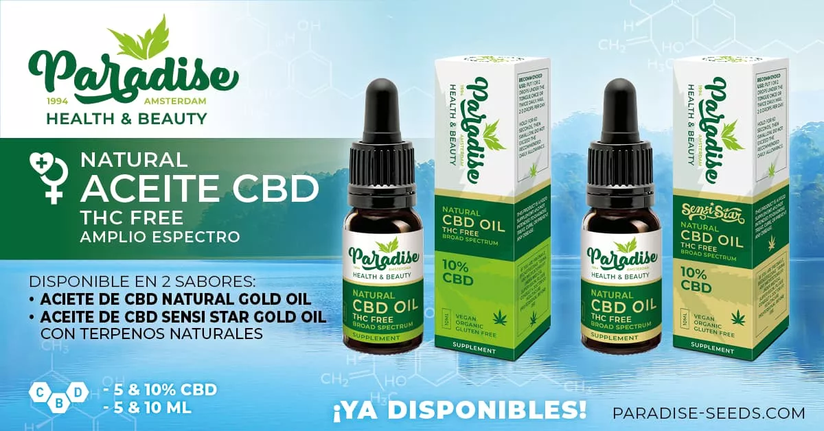 Paradise lanza nueva gama de aceites de CBD de alta calidad | Paradise Seeds Webshop