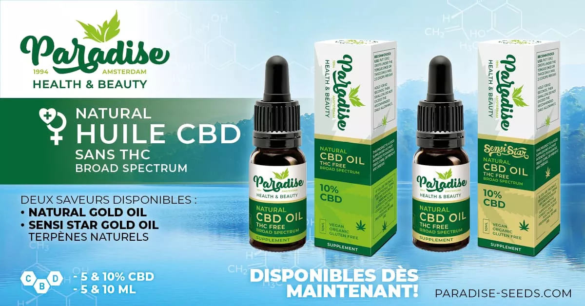 Paradise Lance sa Gamme d’Huiles CBD Haute Qualité | Paradise Seeds Webshop