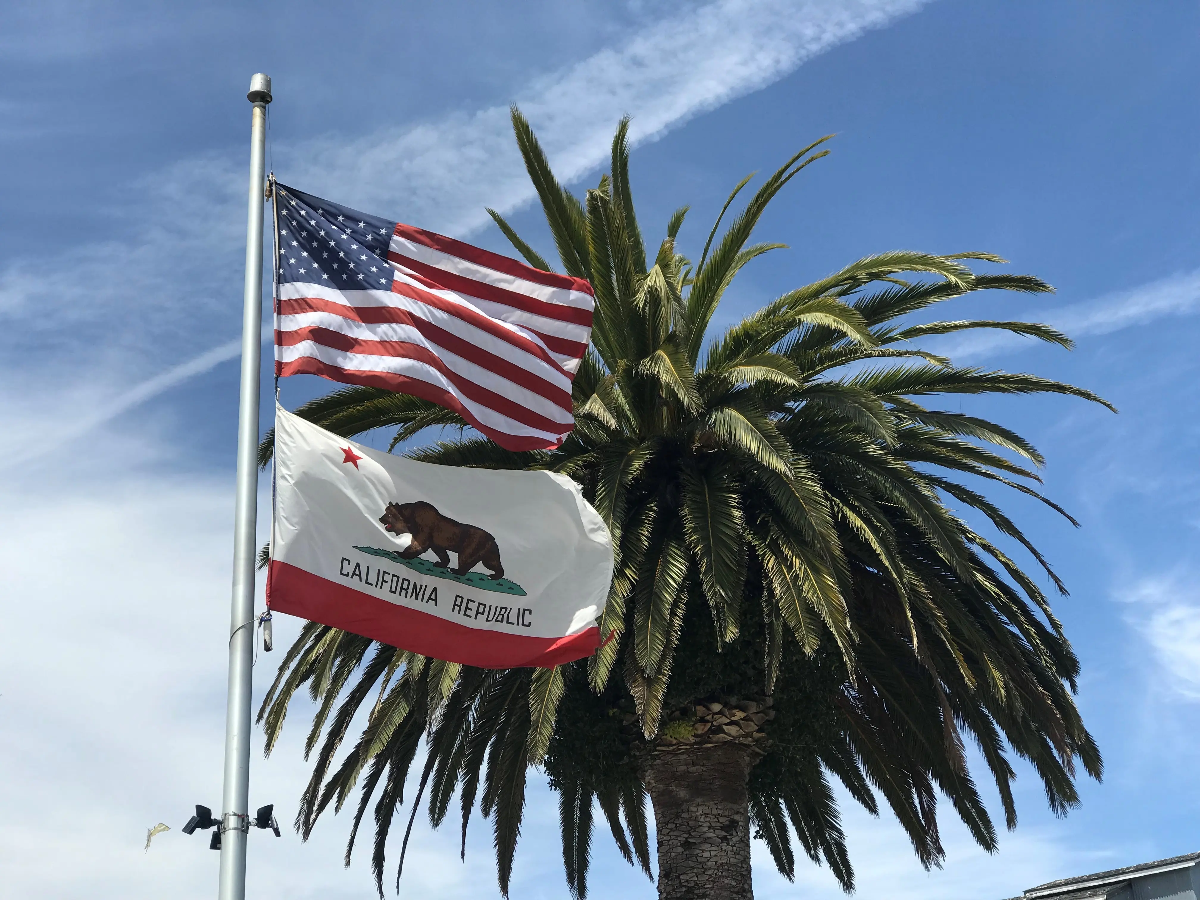 Californian flag fluttering in the breeze