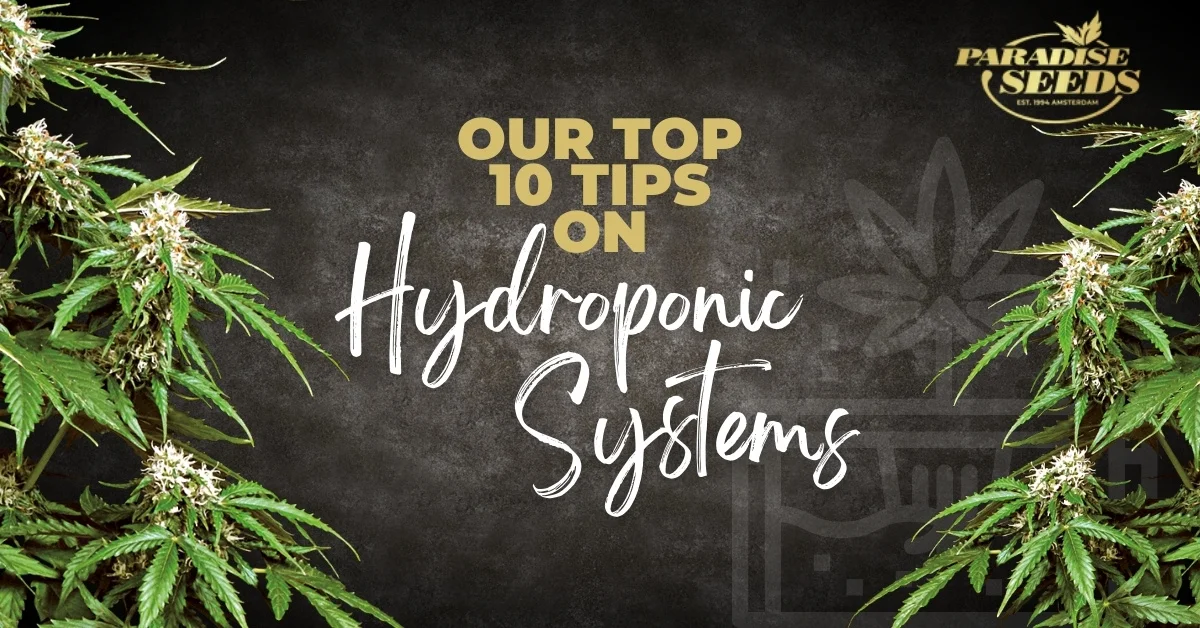 Hydroponics Systems