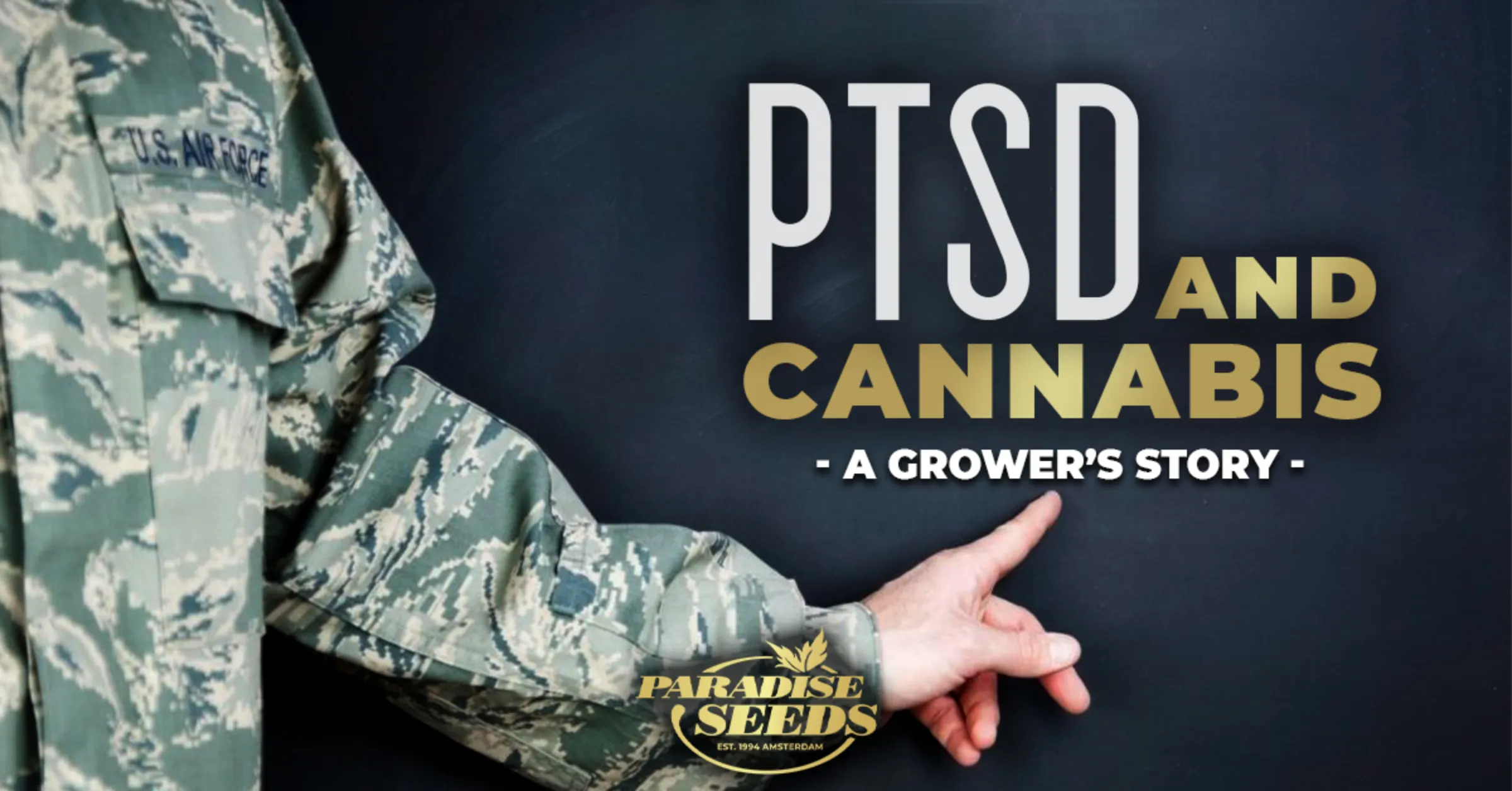 About Cannabis and PTSD