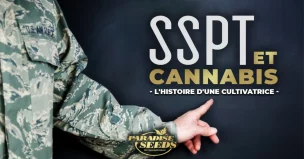 L'histoire d'une Cultivatrice : Cannabis et SSPT | Meilleure qualité, génétique originale Cannabis et SSPT