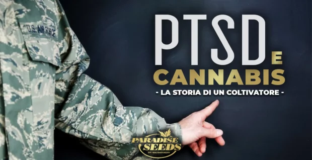 Coltivatore di Cannabis e il PTSD