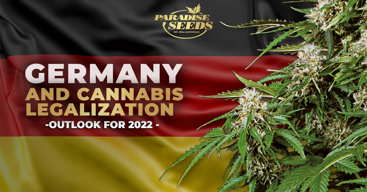 Cannabis Legalization Germany
