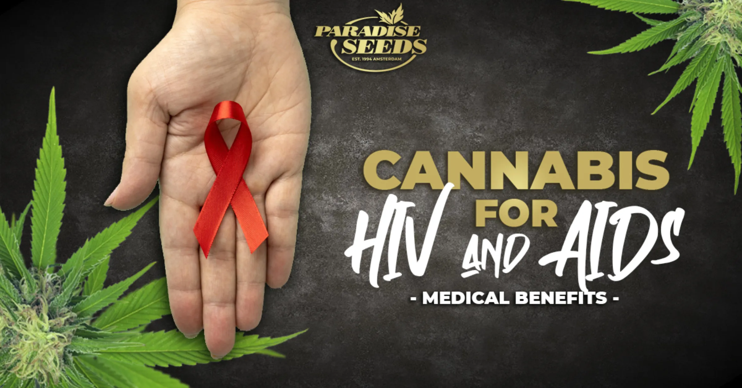 The Benefits of Medical Cannabis for HIV and AIDS patients | Paradise Seeds Webshop