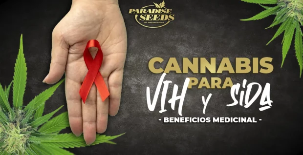 CANNABIS FOR HIV AND AIDS ES@2x | 🥇 Paradise Seeds | Genética original de la mejor calidad