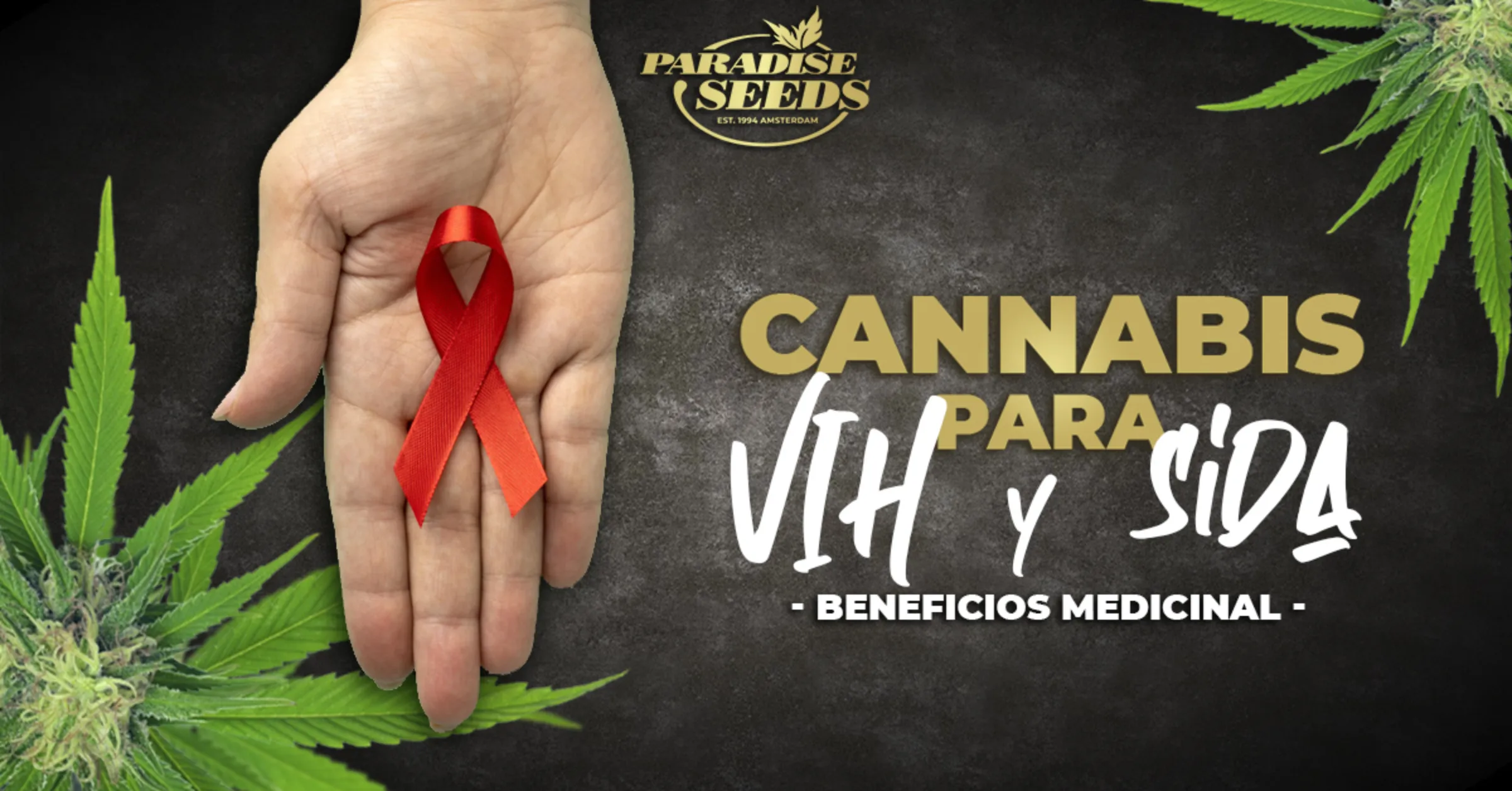 Beneficios del Cannabis Medicinal para Pacientes de VIH y SIDA. | 🥇 Paradise Seeds