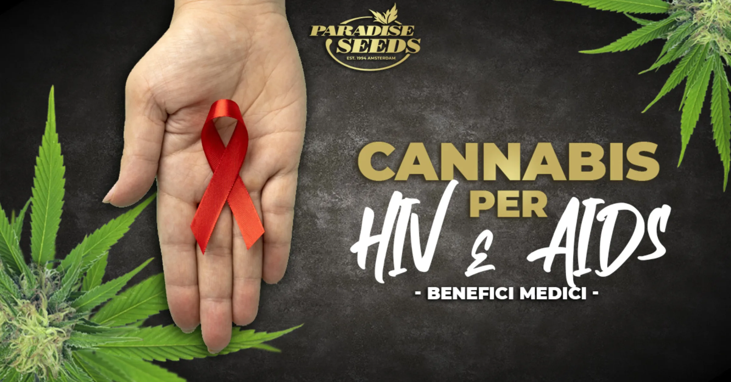 I benefici della cannabis medica per malati di HIV e AIDS | Paradise Seeds Webshop