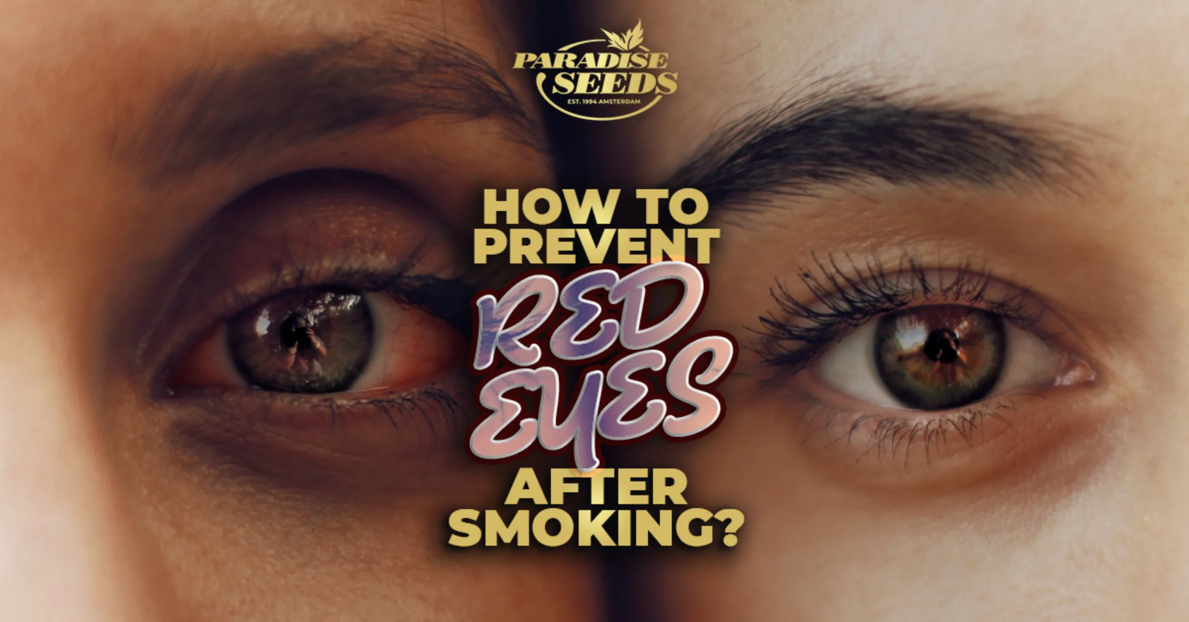 Prevent Red Eyes After Smoking Weed! | 🥇 Paradise Seeds