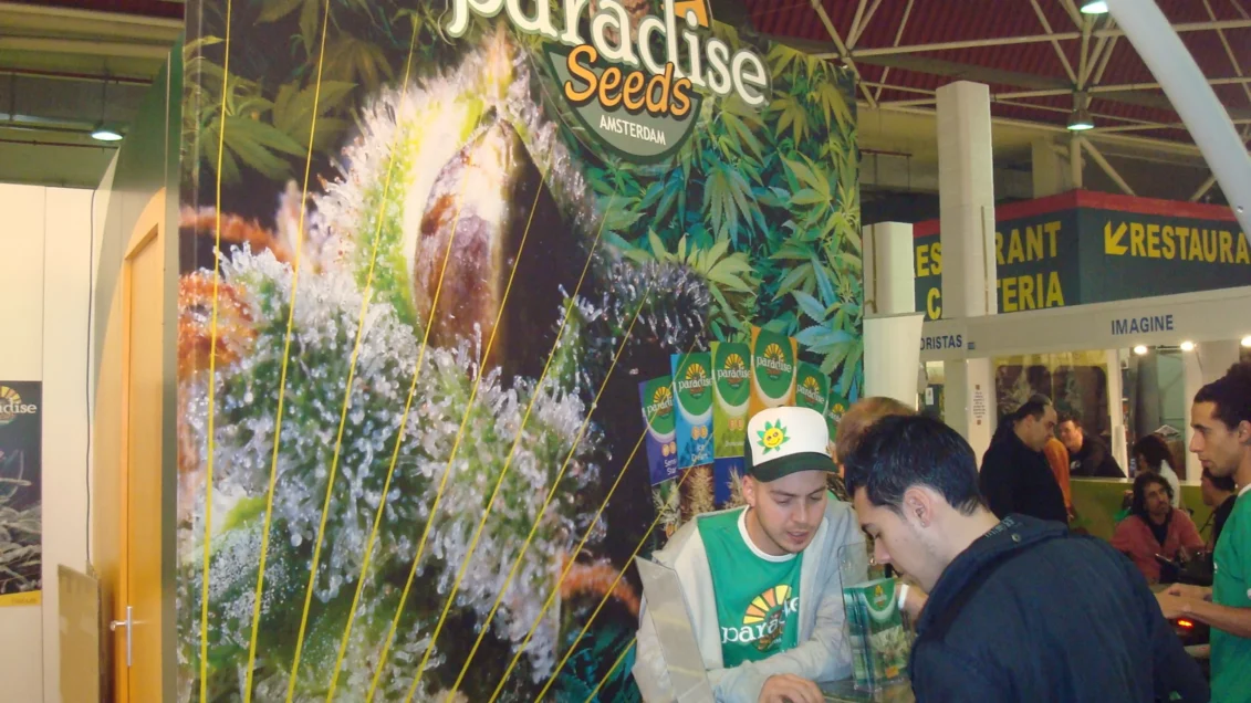 Paradise Seeds at Spannabis Barcelona | 🥇 Paradise Seeds