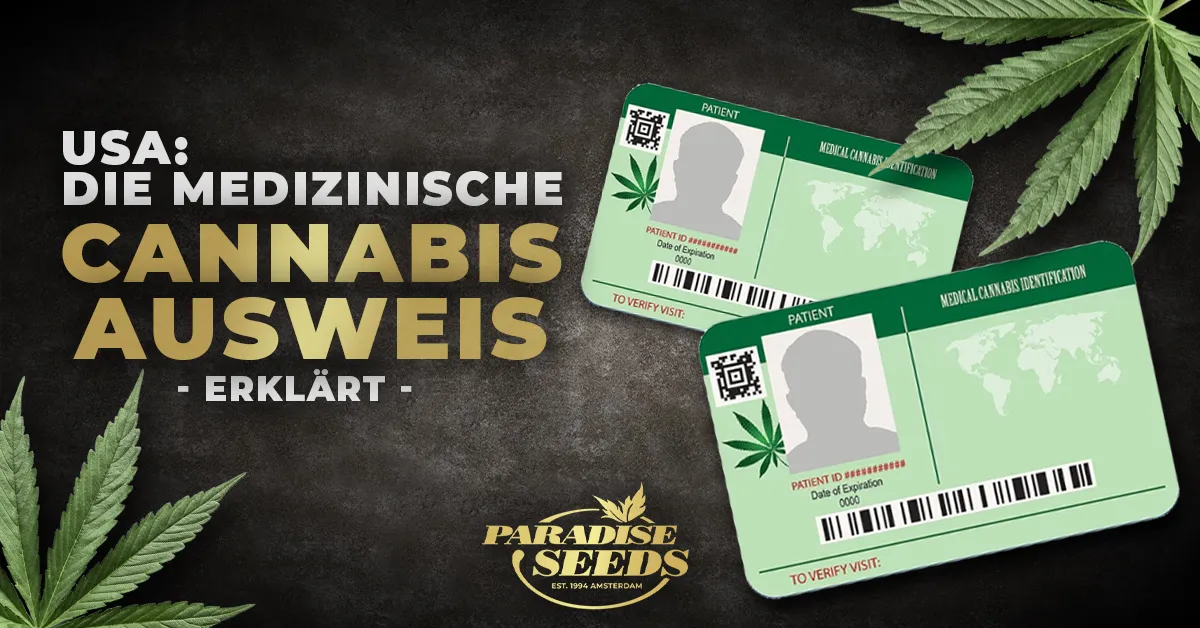 Der medizinische US-Cannabis-Ausweis | Paradise Seeds Webshop