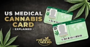 US Medical Cannabis Card Explained | 🥇 Paradise Seeds