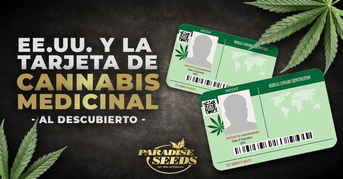 La Tarjeta de Marihuana Medicinal de EE.UU. Al Descubierto | Paradise Seeds Webshop