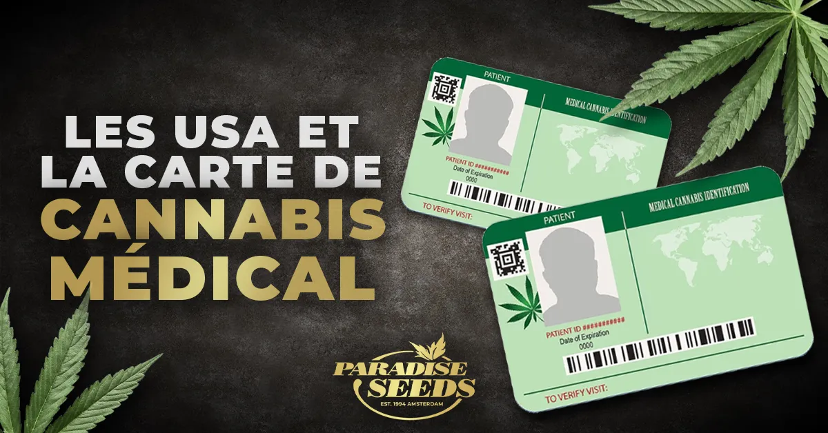 US MEDICAL CANNABIS CARD FR | 🥇 Paradise Seeds | Meilleure qualité, génétique originale