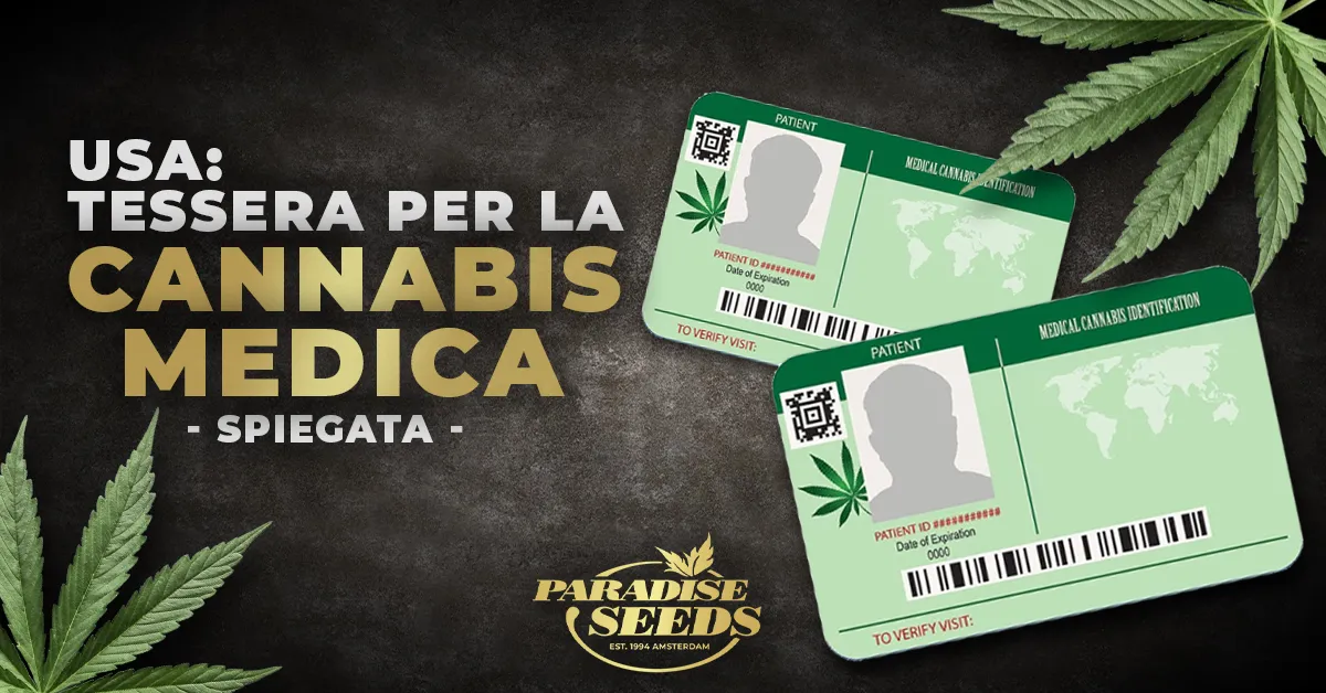 Tessera USA per la Cannabis Medica Spiegata | 🥇 Paradise Seeds