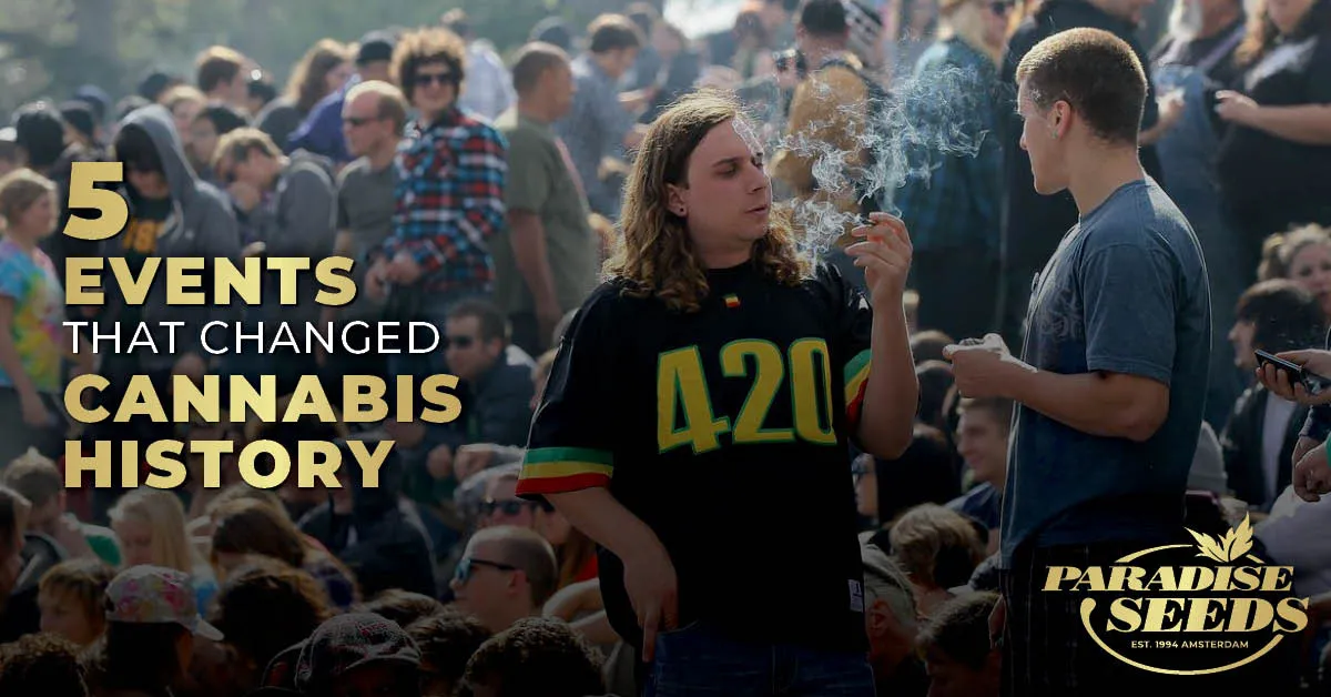Five Events Which Have Changed 420 Cannabis History | Paradise Seeds Webshop