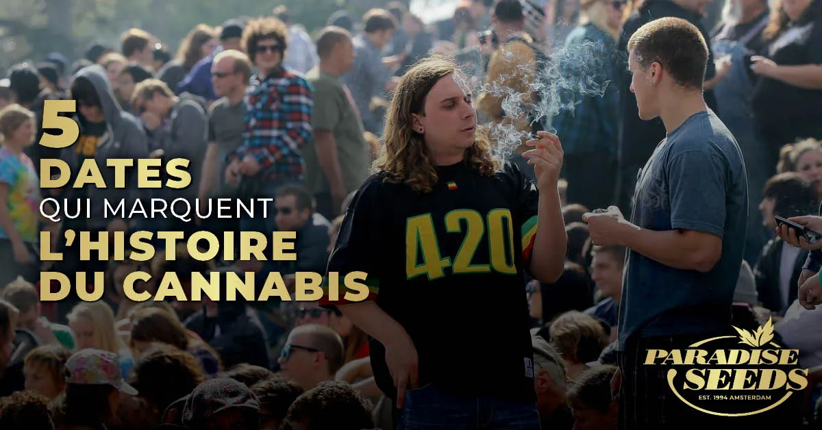 Cinq Évènements qui Ont Changé l’Histoire du 420 Cannabis | 🥇 Paradise Seeds