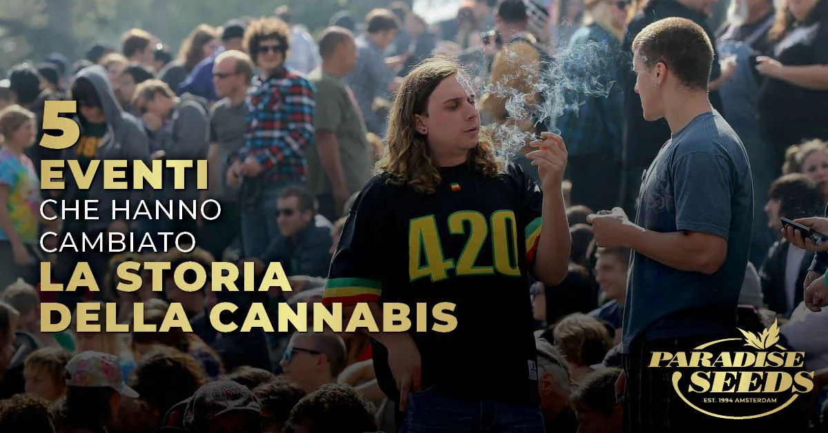 Cinque eventi che hanno cambiato la storia della cannabis 420 | 🥇 Paradise Seeds