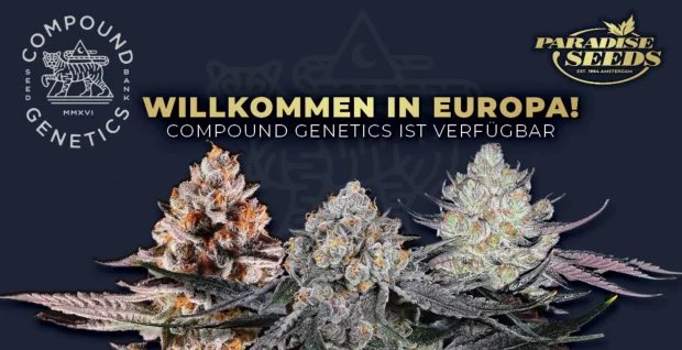 Compounds in Europe_DE