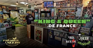 Rencontre avec le magasin: Les “King & Queen” de France | 🥇 Paradise Seeds