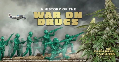 A History of The War on Drugs | 🥇 Paradise Seeds