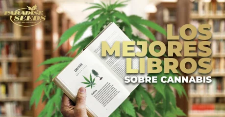 Los Mejores Libros Sobre Cannabis | 🥇 Paradise Seeds