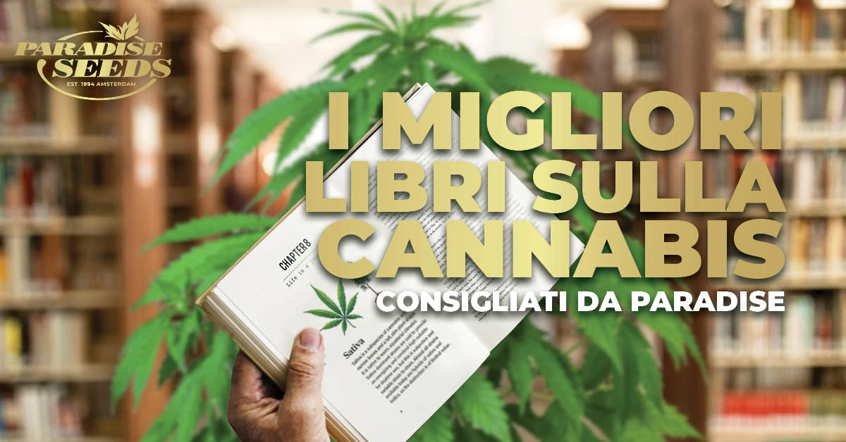 I migliori libri sulla cannabis consigliati | Paradise Seeds Webshop