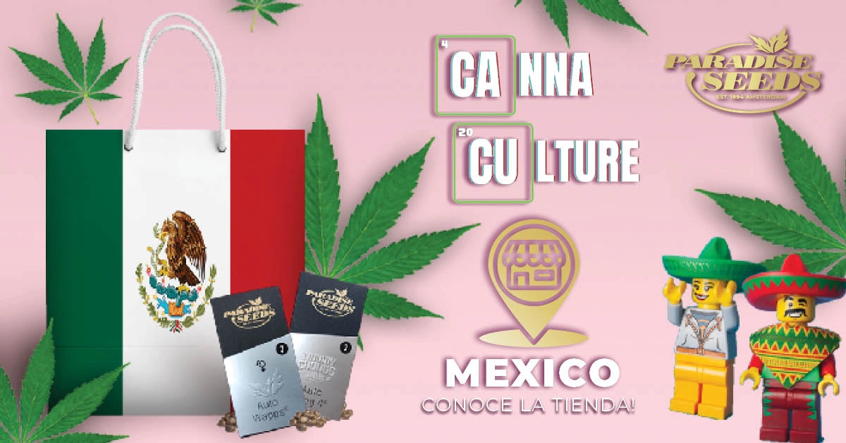 Conoce la tienda Canna Culturee en Mexico | Paradise Seeds Webshop