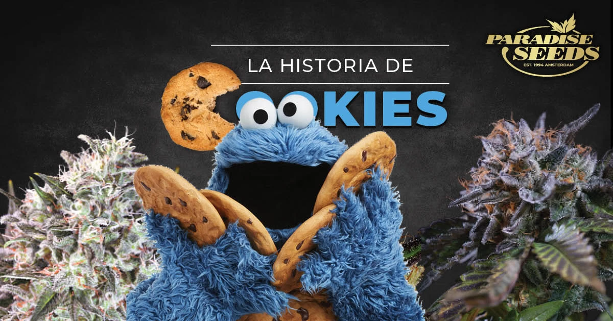 La Historia de la variedad Cookies