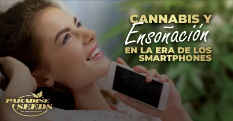 Cannabis y Ensoñación en la Era de los Smartphones | 🥇 Paradise Seeds
