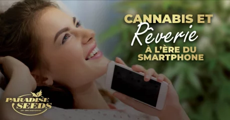 Cannabis et Rêverie à l’ère du Smartphone | 🥇 Paradise Seeds