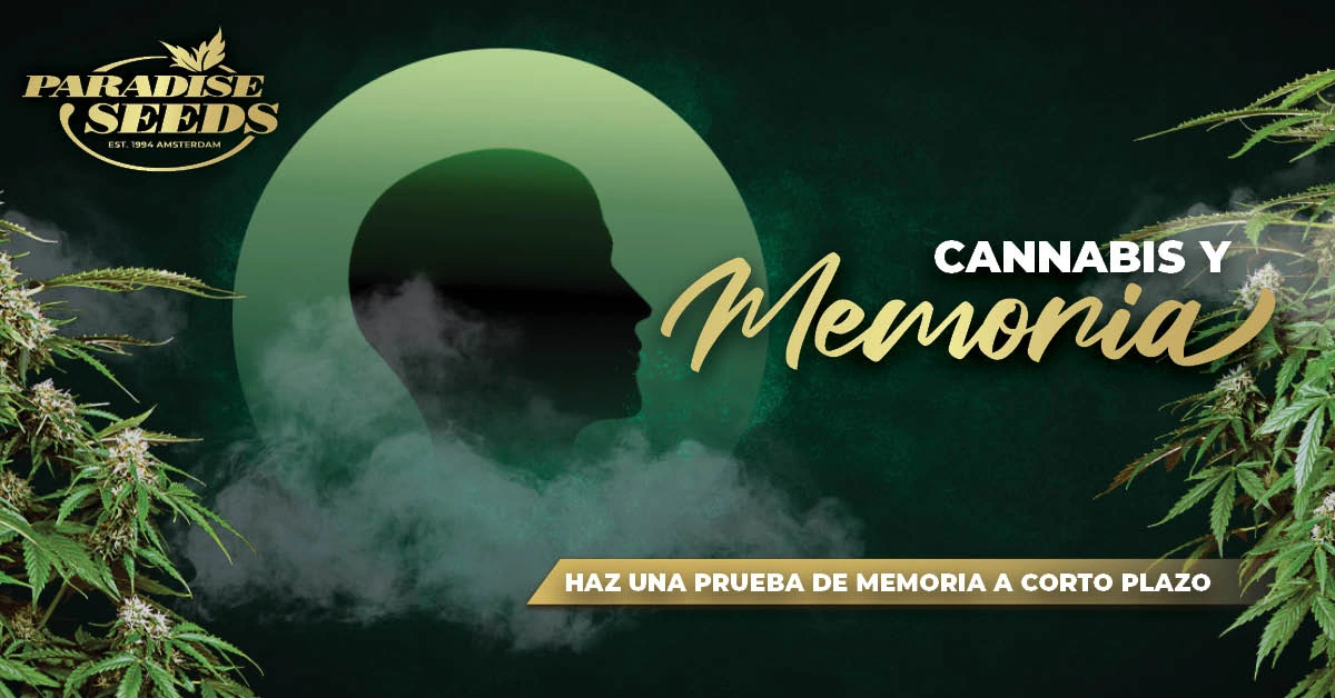 CANNABIS AND MEMORY_ES