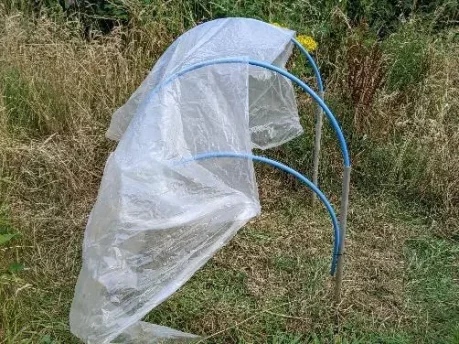 Build an easy cannabis polytunnel 5