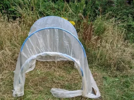 Build an easy cannabis polytunnel 7