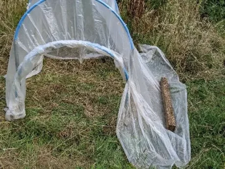 Build an easy cannabis polytunnel 6