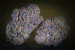 Purple Mints weed