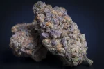 Sweetopia weed