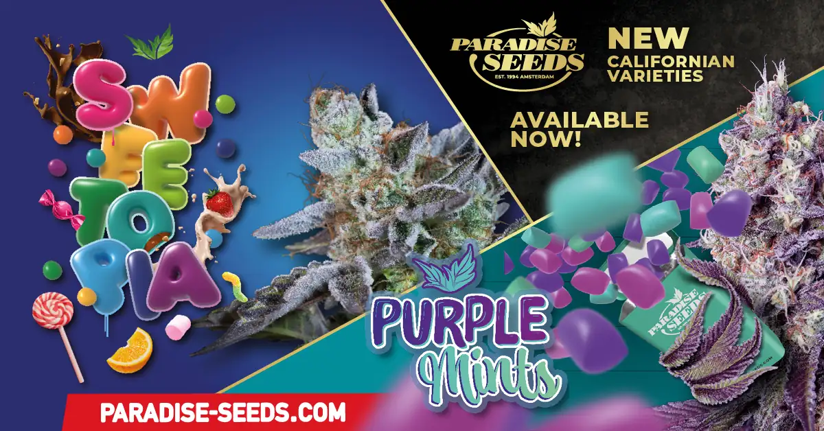 Banque de graines de cannabis | 🥇 Paradise Seeds