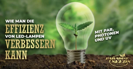 Die Effizienz Von Led Grow Lampen Verbessern Mit Par, Photonen Und Uv Die Effizienz von LED Grow Lampen verbessern mit PAR, Photonen und UV