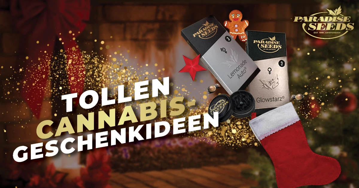 Cannabis-Geschenkideen für Weihnachten Blog